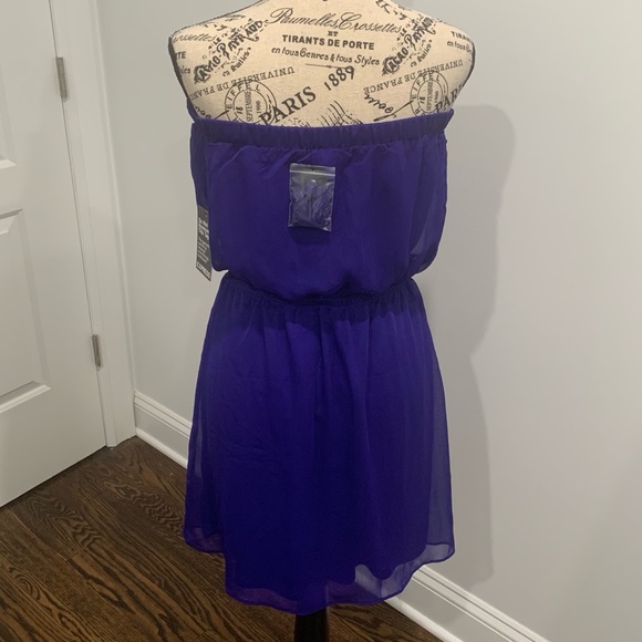 Express Dress (Medium) - Picture 3 of 5